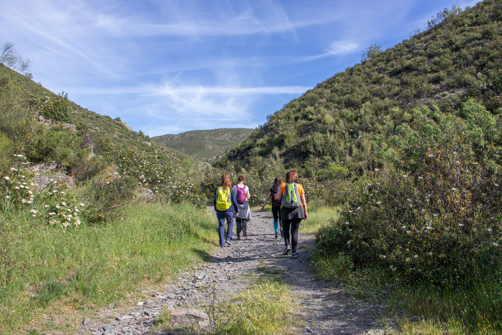 Excursión a Patones entre semana: sin colas, sin ruido, mejor experiencia 3 Tirabeques — cocina de mercado El Origen Patones de Arriba