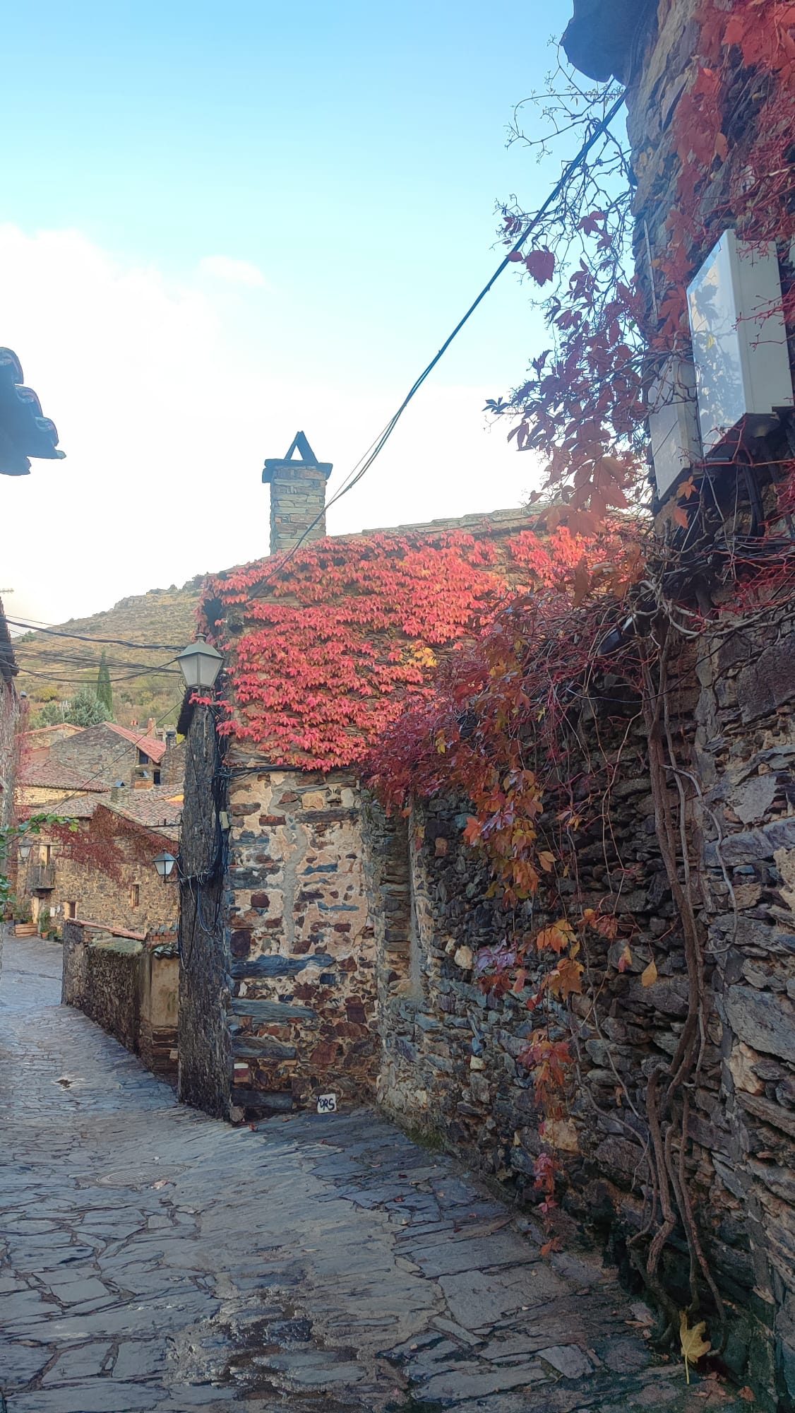 Patones en otoño: senderismo, colores y cocina de temporada 1 Entorno de Patones de Arriba en otoño, con vegetación de tonos ocres