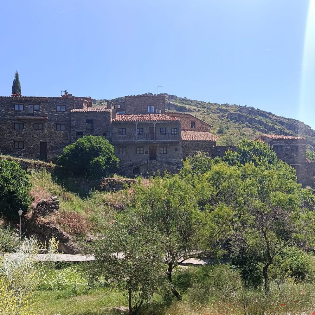 vista patones de arriba 13 1.jpg